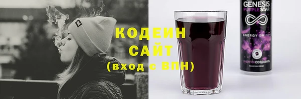 mdpv Горно-Алтайск