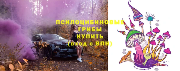 mdpv Горно-Алтайск